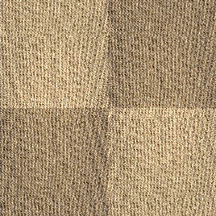 Machine Washable Transitional Brown Sand Brown Rug, wshpat3551brn