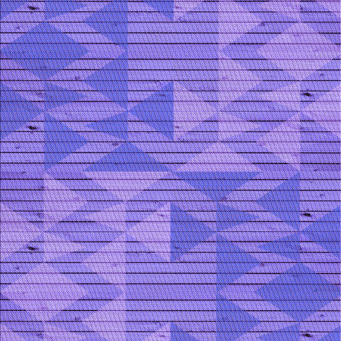 Machine Washable Transitional Purple Mimosa Purple Rug, wshpat3554pur