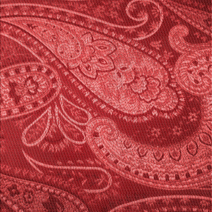Patterned Red Rug, pat3555rd