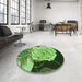 Round Patterned Emerald Green Rug in a Office, pat3557grn