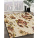 Patterned Khaki Gold Rug in Family Room, pat3558brn