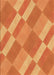 Patterned Orange Rug, pat3560org