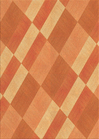 Machine Washable Transitional Orange Rug, wshpat3560org