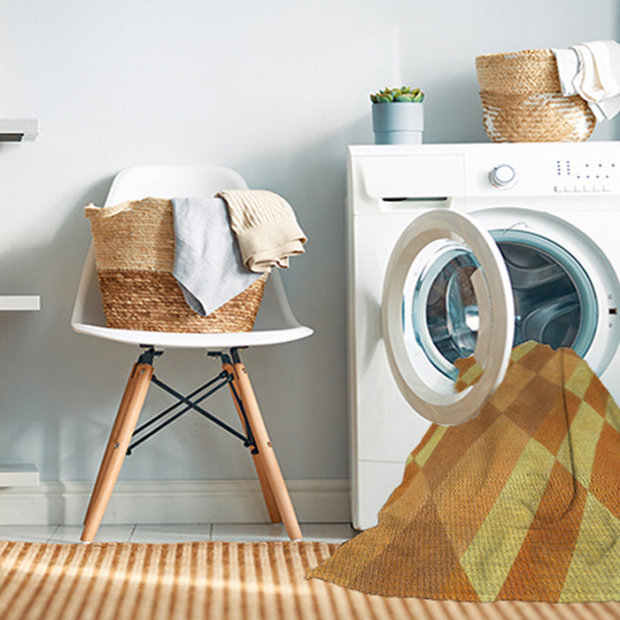 Machine Washable Transitional Sedona Brown Rug in a Washing Machine, wshpat3560