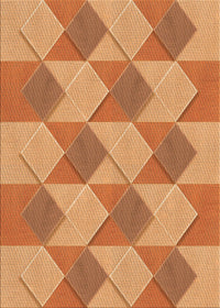 Machine Washable Transitional Orange Rug, wshpat3562org