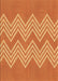 Machine Washable Transitional Orange Rug, wshpat3563org