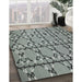 Patterned Gray Novelty Rug in Family Room, pat3570