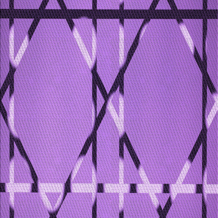 Machine Washable Transitional Purple Rug, wshpat3571pur