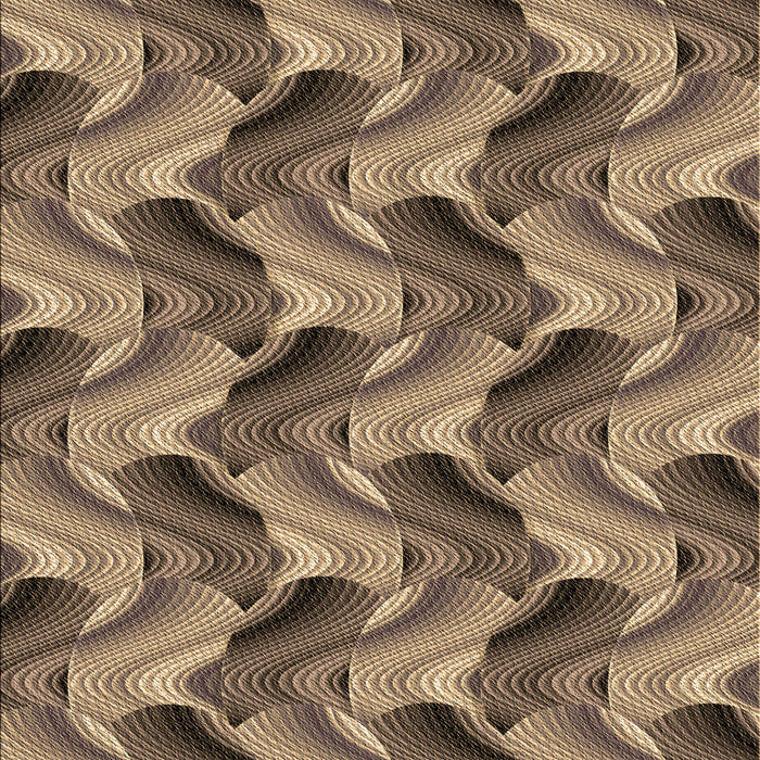 Machine Washable Transitional Peru Brown Rug, wshpat3573brn