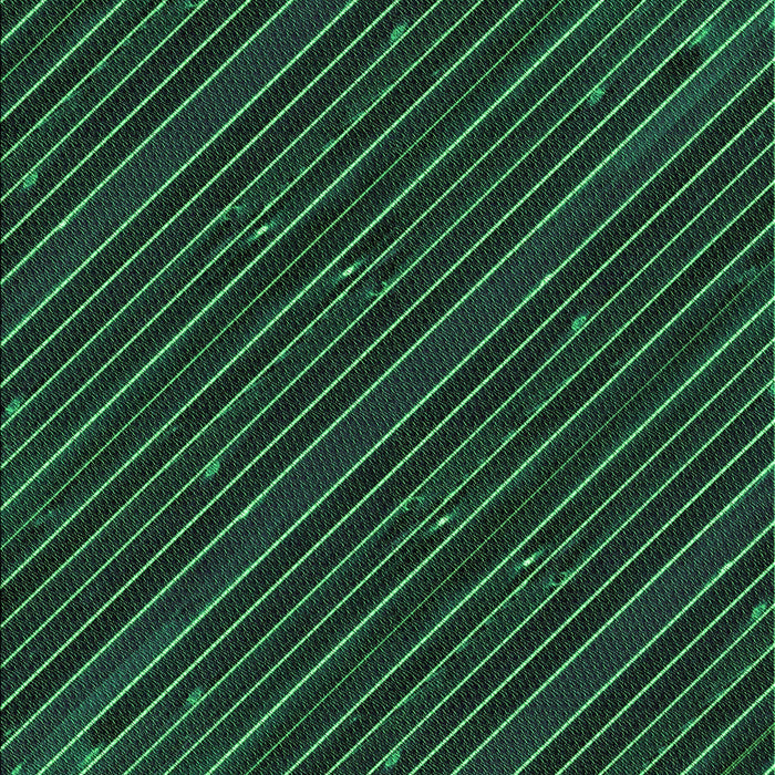 Machine Washable Transitional Sea Green Rug, wshpat3575grn