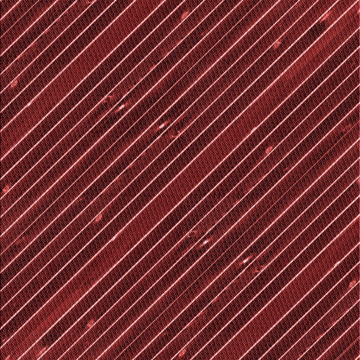 Machine Washable Transitional Red Rug, wshpat3575rd