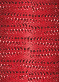 Machine Washable Transitional Crimson Red Rug, wshpat3577rd