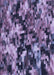 Patterned Purple Mimosa Purple Rug, pat3579blu