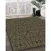 Patterned Dark Almond Brown Novelty Rug in Family Room, pat3581