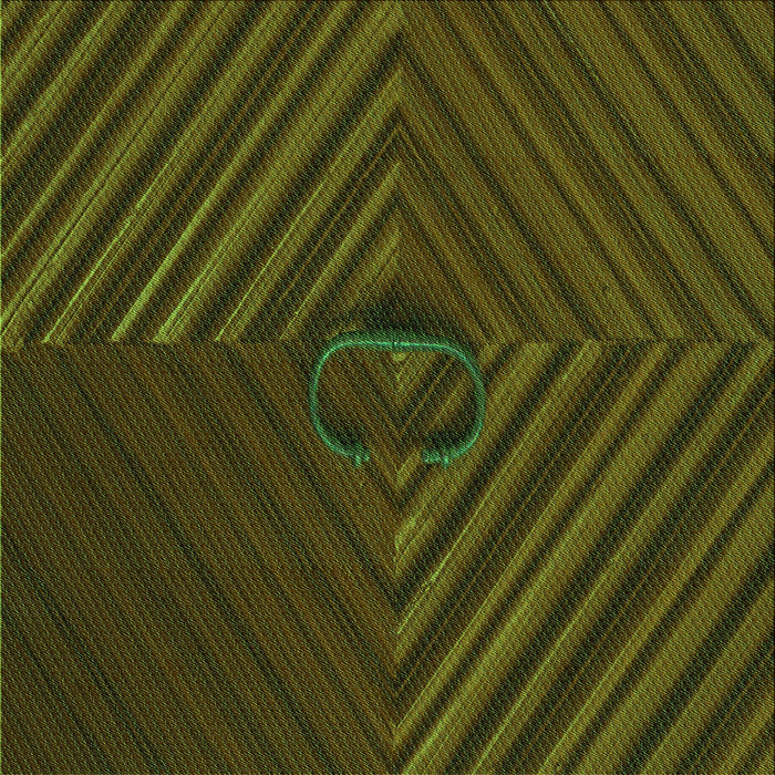 Round Machine Washable Transitional Night Red Rug, wshpat3582grn