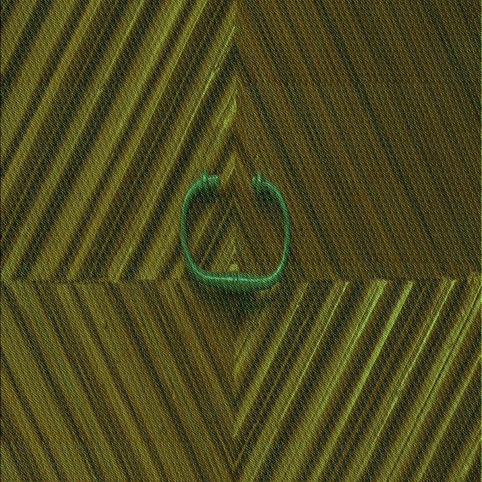 Patterned Red Rug, pat3582grn