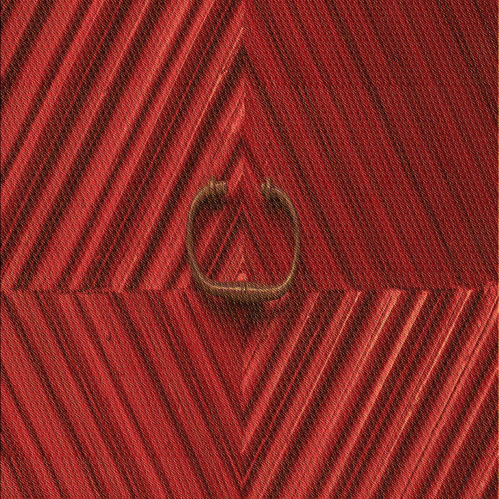 Machine Washable Transitional Red Rug, wshpat3582org