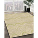 Machine Washable Transitional Khaki Gold Rug in a Family Room, wshpat3584brn