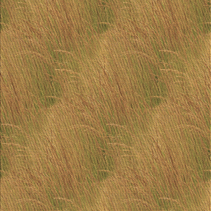 Machine Washable Transitional Yellow Rug, wshpat3587brn