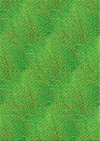 Machine Washable Transitional Dark Lime Green Rug, wshpat3587grn