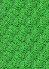 Machine Washable Transitional Lime Green Rug, wshpat3588grn