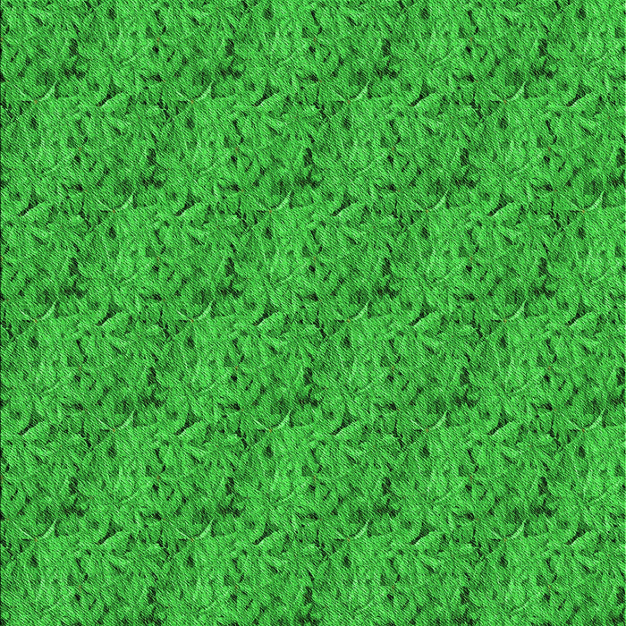 Machine Washable Transitional Lime Green Rug, wshpat3588grn