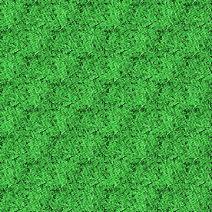 Round Machine Washable Transitional Lime Green Rug, wshpat3588grn