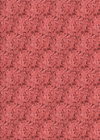 Machine Washable Transitional Red Rug, wshpat3588rd