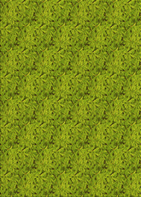 Machine Washable Transitional Pistachio Green Rug, wshpat3588yw