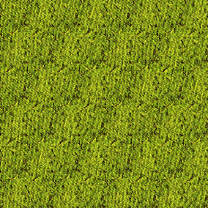 Machine Washable Transitional Pistachio Green Rug, wshpat3588yw