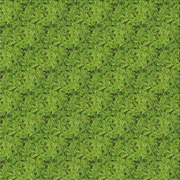 Sideview of Machine Washable Transitional Shamrock Green Rug, wshpat3588