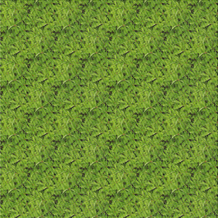 Sideview of Machine Washable Transitional Shamrock Green Rug, wshpat3588