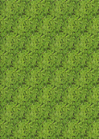 Machine Washable Transitional Shamrock Green Rug, wshpat3588