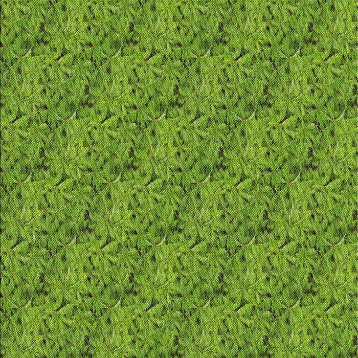 Machine Washable Transitional Shamrock Green Rug, wshpat3588