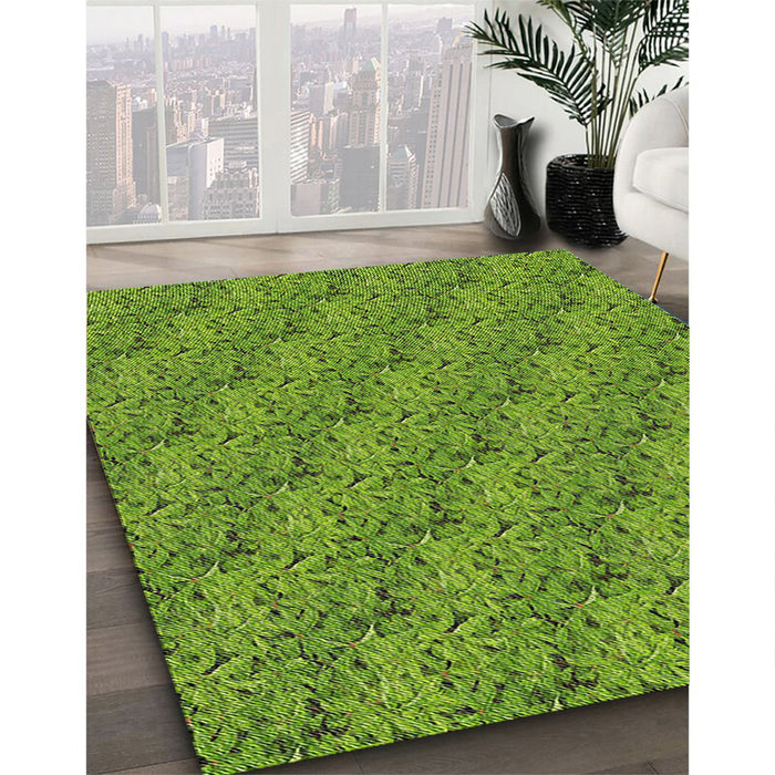 Machine Washable Transitional Shamrock Green Rug in a Family Room, wshpat3588