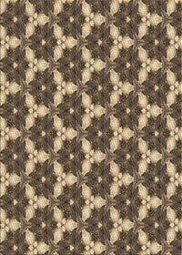 Machine Washable Transitional Brown Sand Brown Rug, wshpat359brn