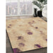 Machine Washable Transitional Peru Brown Rug in a Family Room, wshpat3593brn