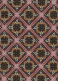 Machine Washable Transitional Dark Almond Brown Rug, wshpat3597