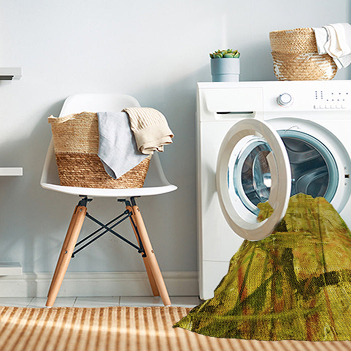 Machine Washable Transitional Dark Bisque Brown Rug in a Washing Machine, wshpat36yw