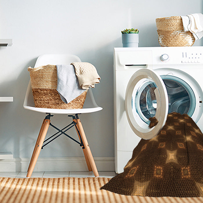 Machine Washable Transitional Mahogany Brown Rug in a Washing Machine, wshpat3600org