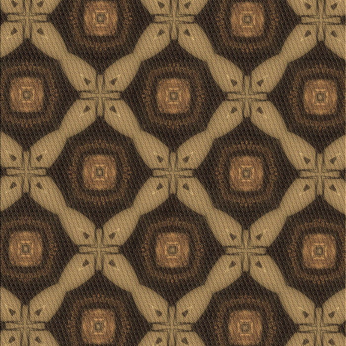 Machine Washable Transitional Light Brown Rug, wshpat3601brn