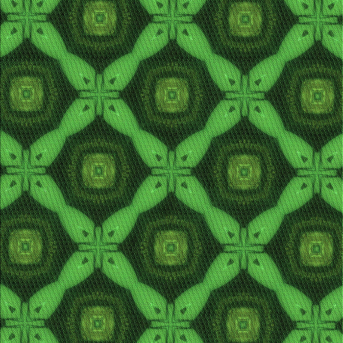 Machine Washable Transitional Deep Emerald Green Rug, wshpat3601grn