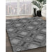 Machine Washable Transitional Gunmetal Gray Rug in a Family Room, wshpat3602gry