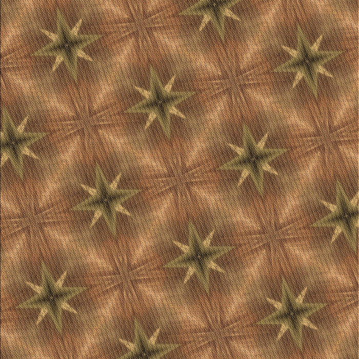 Machine Washable Transitional Saddle Brown Rug, wshpat3603brn