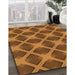 Machine Washable Transitional Saddle Brown Rug in a Family Room, wshpat3608org