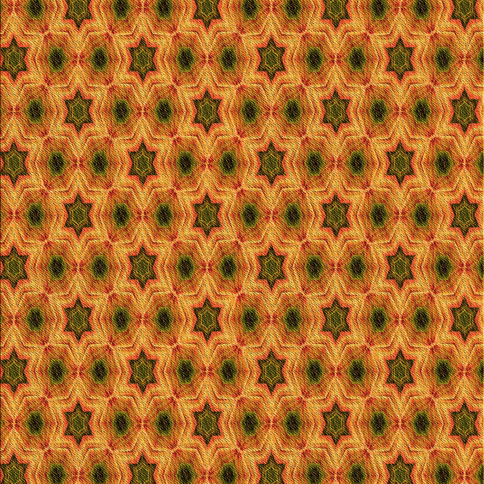 Machine Washable Transitional Mahogany Brown Rug, wshpat361yw