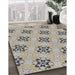 Patterned Brown Novelty Rug in Family Room, pat3610