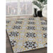 Machine Washable Transitional Brown Rug in a Family Room, wshpat3610