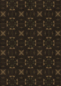 Machine Washable Transitional Black Rug, wshpat3613brn