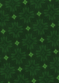 Machine Washable Transitional Green Rug, wshpat3614grn